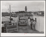 Lineup of cars with trailers waiting for their times to list stock for sale at the auction. Ontario, Oregon