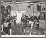 Auctioning off a horse at sale. Ontario, Oregon