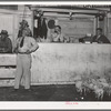 Pigs for an auction at sale in Ontario region. Raising of hogs is on the increase in Oregon, the increase from 1935 to 1937 being from 169,000 head to 242,000 head