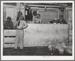 Pigs for an auction at sale in Ontario region. Raising of hogs is on the increase in Oregon, the increase from 1935 to 1937 being from 169,000 head to 242,000 head