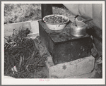 Cook stove in tent home of young farmer and his wife. Vale-Owyhee irrigation project, Malheur County, Oregon. This is first year on this land, in fact, they had been here only two months. This year they will devote time, energy, and money to getting their