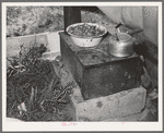Cook stove in tent home of young farmer and his wife. Vale-Owyhee irrigation project, Malheur County, Oregon. This is first year on this land, in fact, they had been here only two months. This year they will devote time, energy, and money to getting their