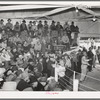 Auction of livestock. Ontario, Oregon