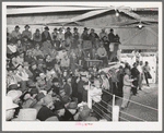 Auction of livestock. Ontario, Oregon