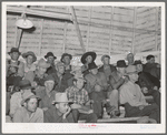 At auction of livestock. Ontario, Oregon