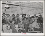 At auction of livestock. Ontario, Oregon