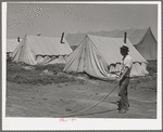 Farm worker watering down the dusty ground around his tent at the FSA (Farm Security Administration) migratory labor camp mobile unit. Wilder, Idaho