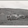 Automobiles and tents of sheep shearers on ranch in Malheur County, Oregon. These sheep shearing outfits travel in groups from ten to thirty or more throughout the sheep raising sections