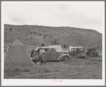 Automobiles and tents of sheep shearers on ranch in Malheur County, Oregon. These sheep shearing outfits travel in groups from ten to thirty or more throughout the sheep raising sections