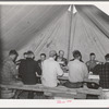 Sheep shearers eating dinner in central tent of the outfit. Ranch in Malheur County, Oregon