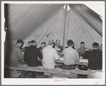 Sheep shearers eating dinner in central tent of the outfit. Ranch in Malheur County, Oregon