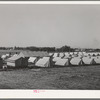 Tents at FSA (Farm Security Administration) migratory labor camp mobile unit. Wilder, Idaho