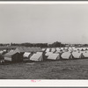 Tents at FSA (Farm Security Administration) migratory labor camp mobile unit. Wilder, Idaho