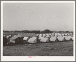 Tents at FSA (Farm Security Administration) migratory labor camp mobile unit. Wilder, Idaho