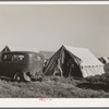 Farm workers unloading their car and moving into tent in which they will live at the FSA (Farm Security Administration) migratory labor camp mobile unit. Wilder, Idaho. Tents are floored. The fact that sanitary facilities are available, hot and cold