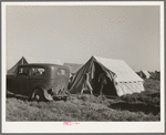 Farm workers unloading their car and moving into tent in which they will live at the FSA (Farm Security Administration) migratory labor camp mobile unit. Wilder, Idaho. Tents are floored. The fact that sanitary facilities are available, hot and cold