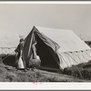 Farm workers unloading their car and moving into tent in which they will live at the FSA (Farm Security Administration) migratory labor camp mobile unit. Wilder, Idaho. Tents are floored. The fact that sanitary facilities are available, hot and cold