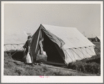 Farm workers unloading their car and moving into tent in which they will live at the FSA (Farm Security Administration) migratory labor camp mobile unit. Wilder, Idaho. Tents are floored. The fact that sanitary facilities are available, hot and cold