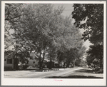 Street in the residential section of Caldwell, Idaho. In Caldwell is the College of Idaho, the oldest institution of higher learning in the state. Idaho State Guide (Federal Writers' Project) says, "But none of these give the mental and spiritual flavor