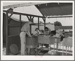 Laundry at the FSA (Farm Security Administration) migratory labor camp mobile unit. Wilder, Idaho