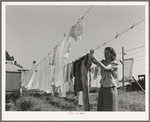 Hanging out the wash at the FSA (Farm Security Administration) migratory labor camp mobile unit. Wilder, Idaho