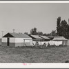 Overall view of laundry, shower and power units at the FSA (Farm Security Administration) migratory labor camp mobile unit. Wilder, Idaho
