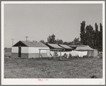 Overall view of laundry, shower and power units at the FSA (Farm Security Administration) migratory labor camp mobile unit. Wilder, Idaho