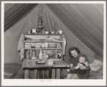Mother and child at the FSA (Farm Security Administration) migratory labor camp mobile unit. Wilder, Idaho