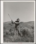 New farmer clearing land of sage brush. Vale-Owyhee irrigation project, Malheur County, Oregon. On the Vale-Owyhee project the average farmer has been able to clear and get into cultivation (small grain, alfalfa) 44 acres in the 1st year on his farm