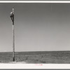 Lineman, electrical. Canyon County, Idaho