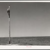 Lineman, electrical. Canyon County, Idaho