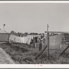 Laundry on the line. FSA (Farm Security Administration) migratory labor camp mobile unit. Wilder, Idaho