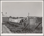 Laundry on the line. FSA (Farm Security Administration) migratory labor camp mobile unit. Wilder, Idaho