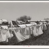 Laundry. FSA (Farm Security Administration) migratory labor camp mobile unit. Wilder, Idaho