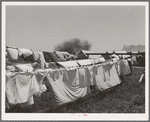 Laundry. FSA (Farm Security Administration) migratory labor camp mobile unit. Wilder, Idaho