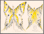 Papillon