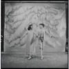 The Nutcracker, Clara and the Prince in the snowflake scene