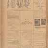Jurab al-Kurdi