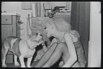 Cabaret, publicity photo of Jill Haworth and her bulldog