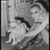 Cabaret, publicity photo of Jill Haworth and her bulldog