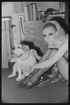 Cabaret, publicity photo of Jill Haworth and her bulldog