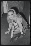 Cabaret, publicity photo of Jill Haworth and her bulldog