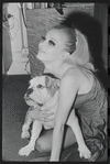 Cabaret, publicity photo of Jill Haworth and her bulldog