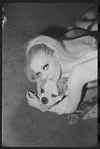 Cabaret, publicity photo of Jill Haworth and her bulldog
