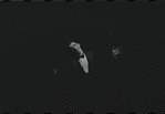Robert Salvio in the 1967 National tour of the stage production Cabaret