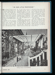 London Terrace news
