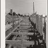 Construction work of the sewage disposal plant and sewer lines leading to it. About ten miles of sewer pipe are being laid on this project. San Diego, California