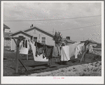 Laundry on line back of cottage of "permanent" farm worker at the FSA (Farm Security Administration) labor camp. Caldwell, Idaho. Here is a community laundry with washing machines, ironing equipment lines, etc. but some of the "permanent" workers living