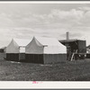 Nampa, Idaho. Mobile unit of the FSA (Farm Security Administration) camp for migratory farm workers. Tents of staff members and the power unit in the background