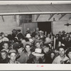 High school boys and girls in trucks going to pick peas. Nampa, Canyon County, Idaho. No one under fifteen years of age was hired
